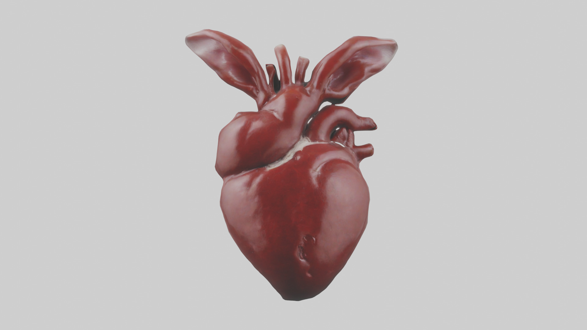 Rabbit Heart Low-poly 3D model_9