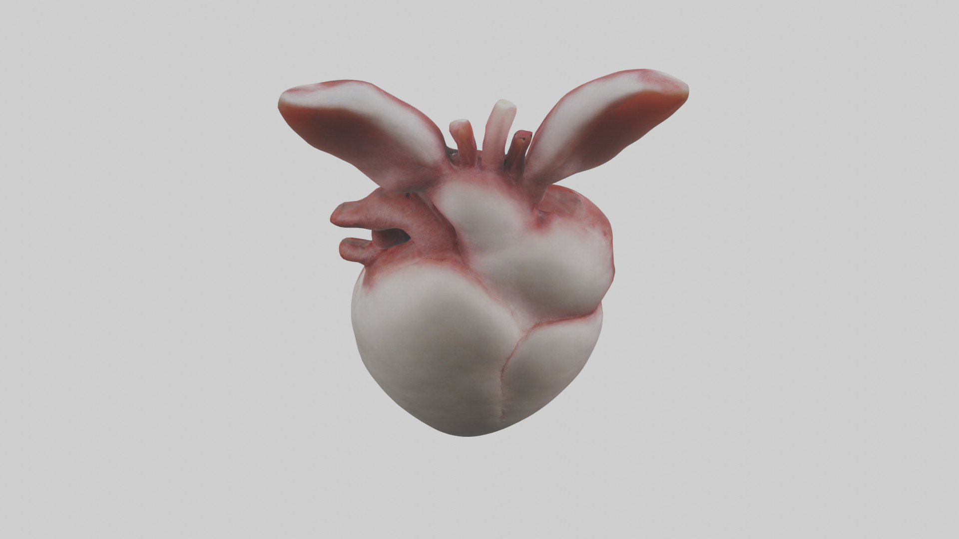 Rabbit Heart Low-poly 3D model_15