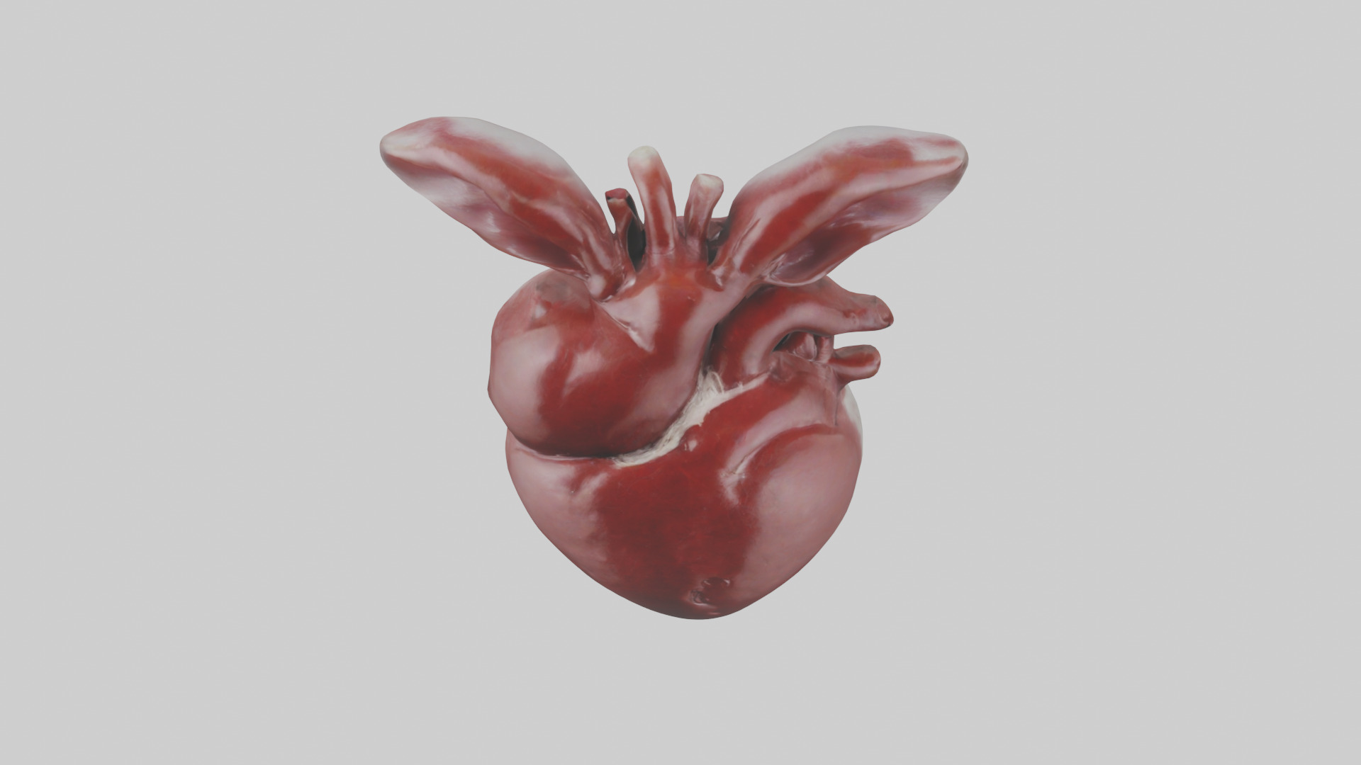 Rabbit Heart Low-poly 3D model_16
