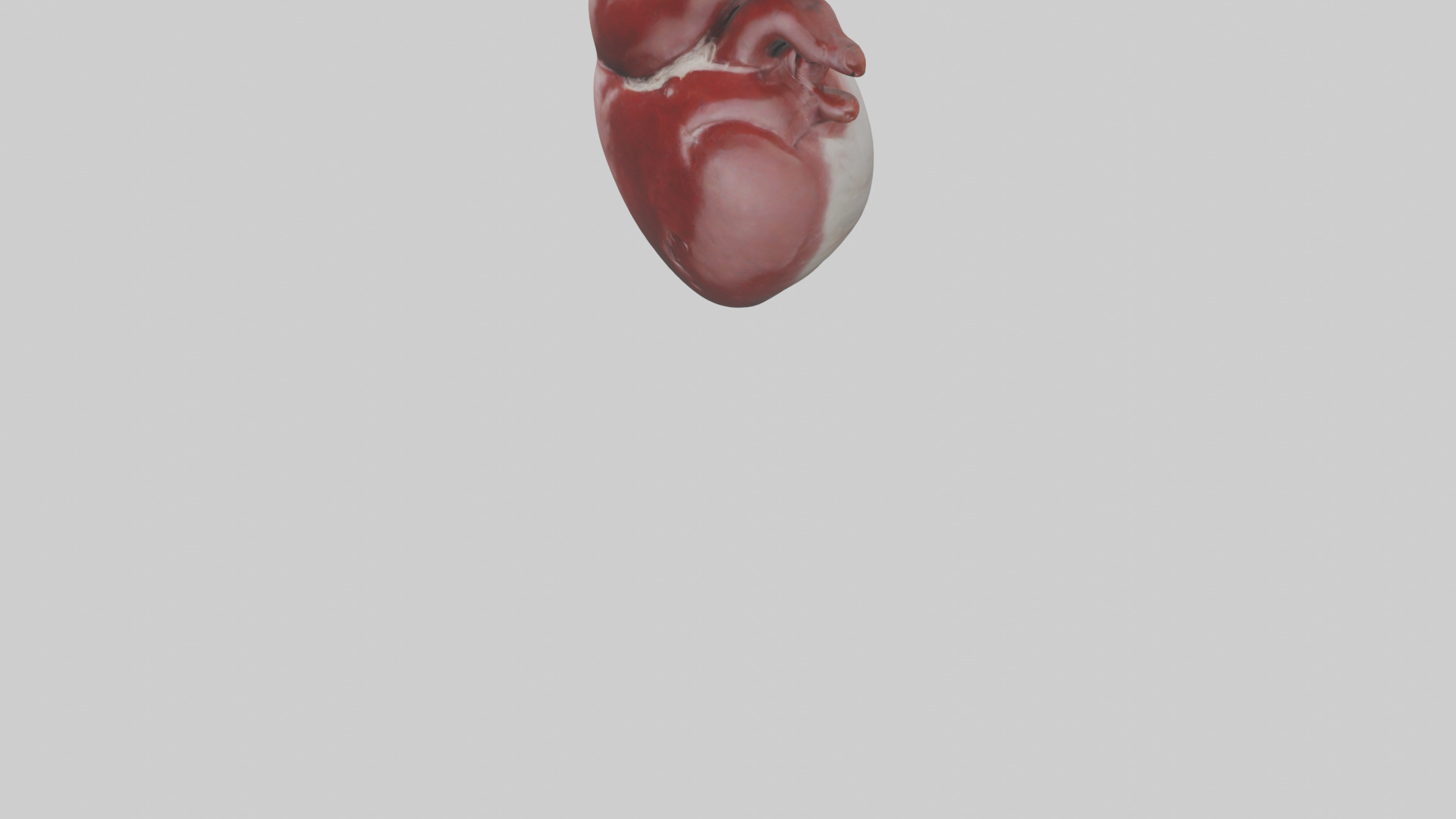 Rabbit Heart Low-poly 3D model_5