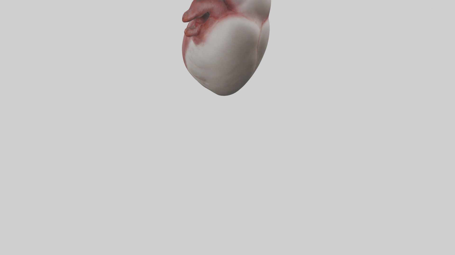 Rabbit Heart Low-poly 3D model_3