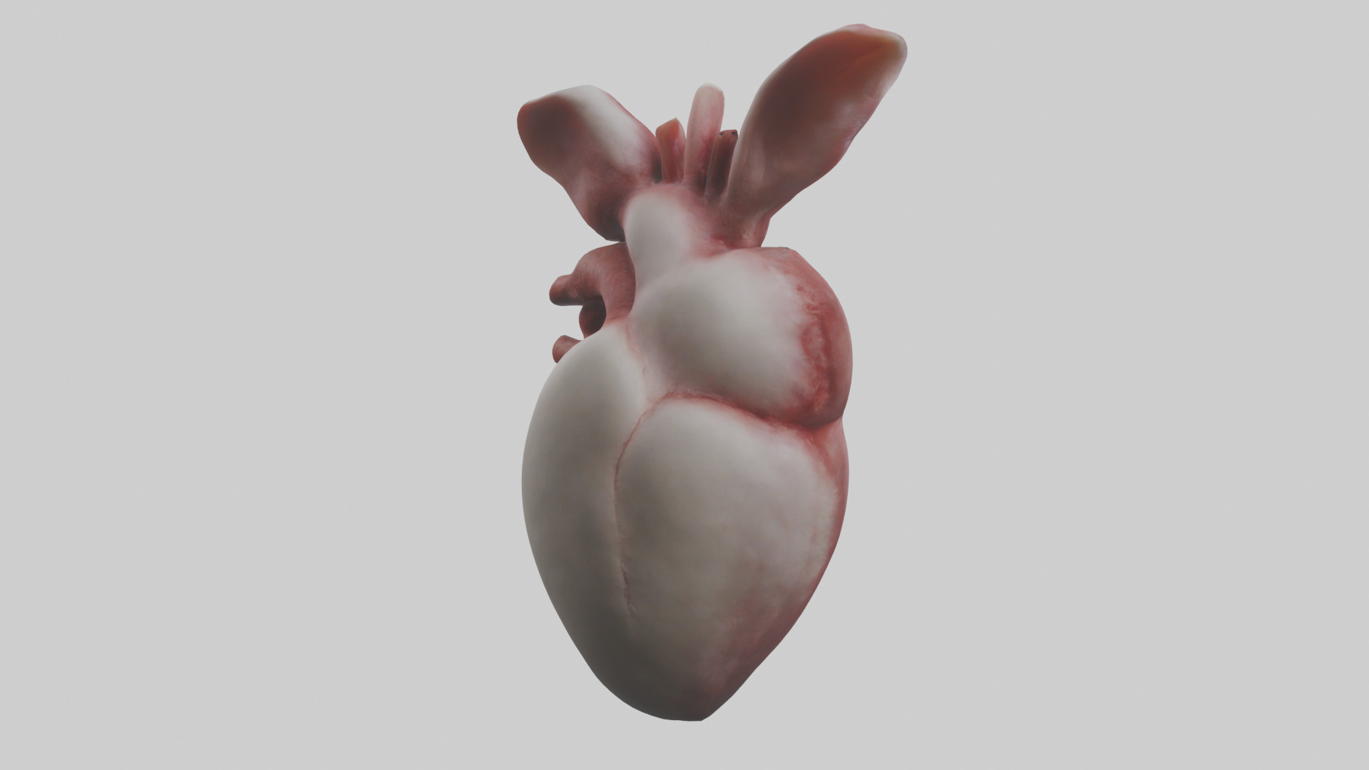Rabbit Heart Low-poly 3D model_2