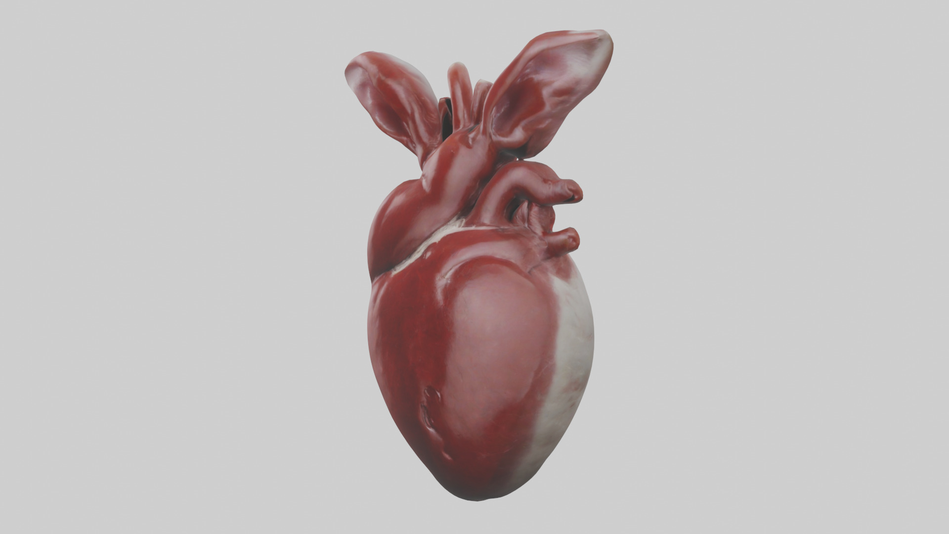 Rabbit Heart Low-poly 3D model_10