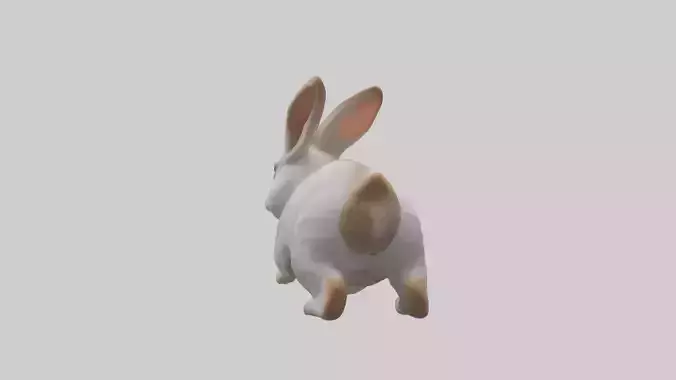 Rabbit hopping model