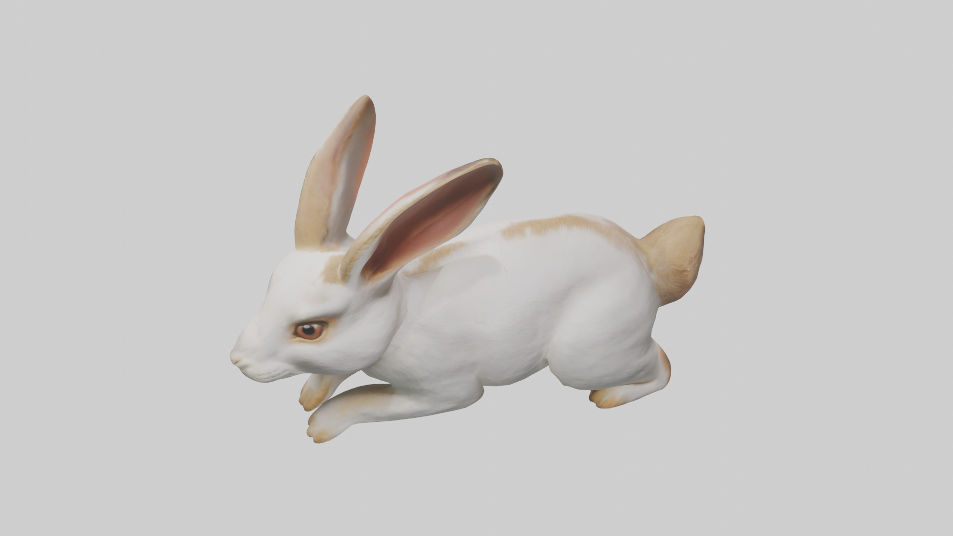 Rabbit hopping model Low-poly 3D model_17
