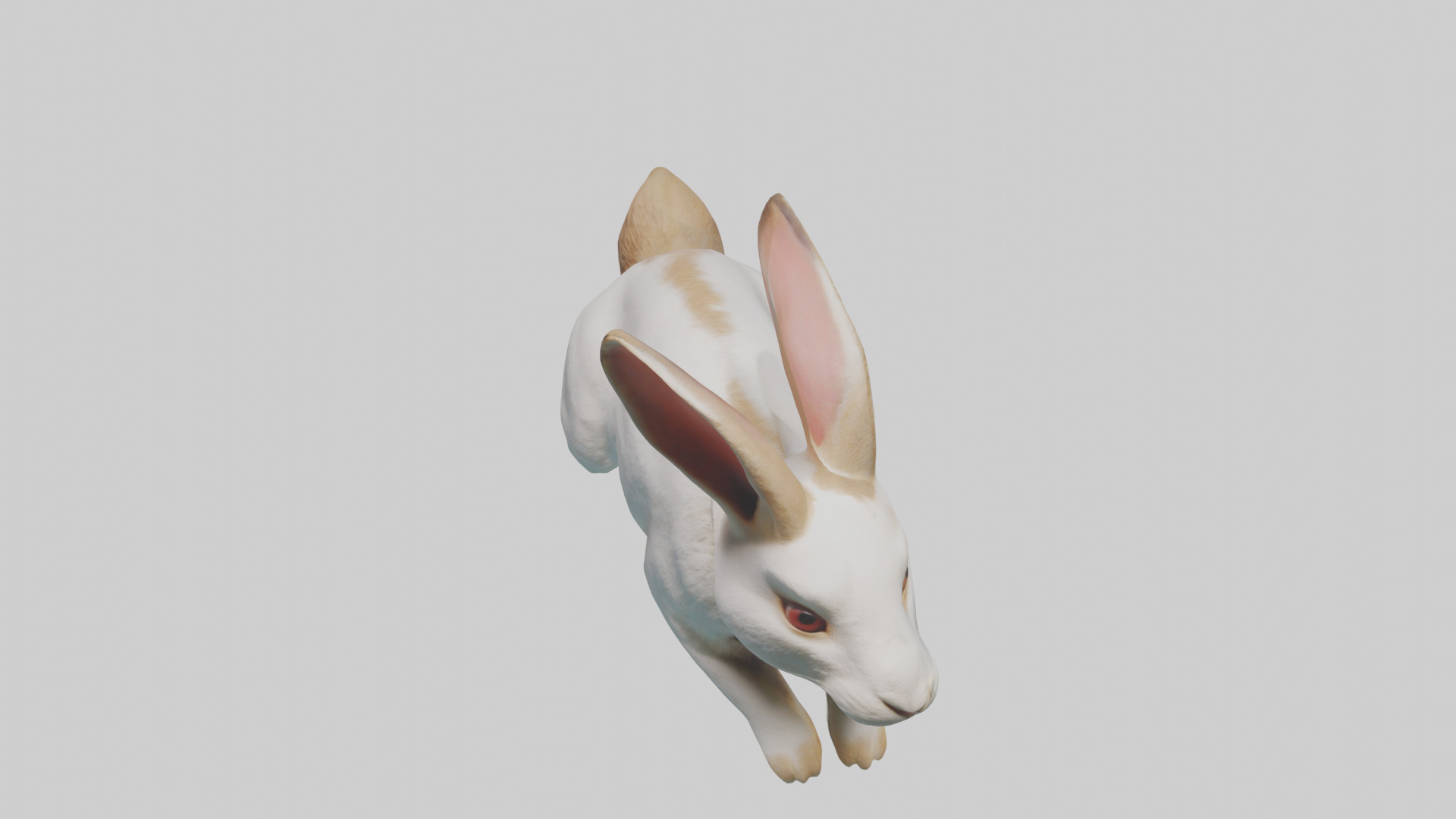 Rabbit hopping model Low-poly 3D model_16