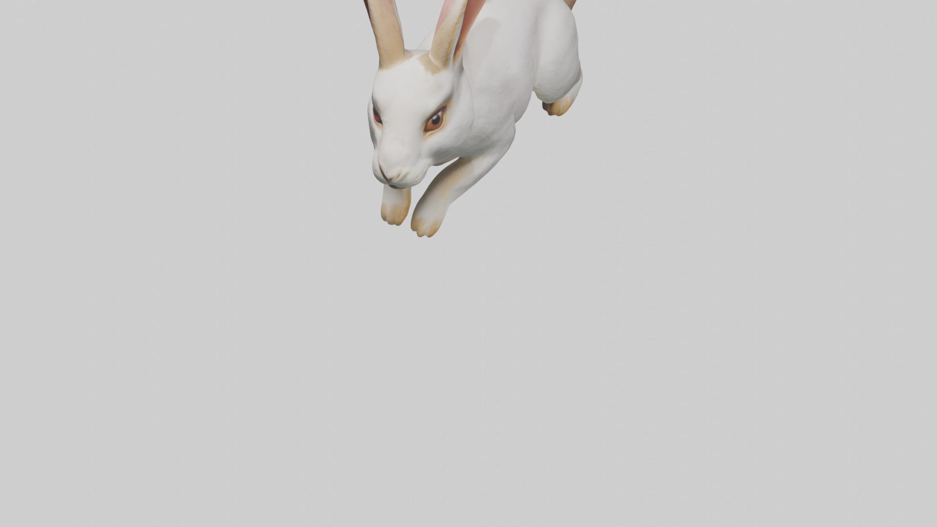 Rabbit hopping model Low-poly 3D model_5