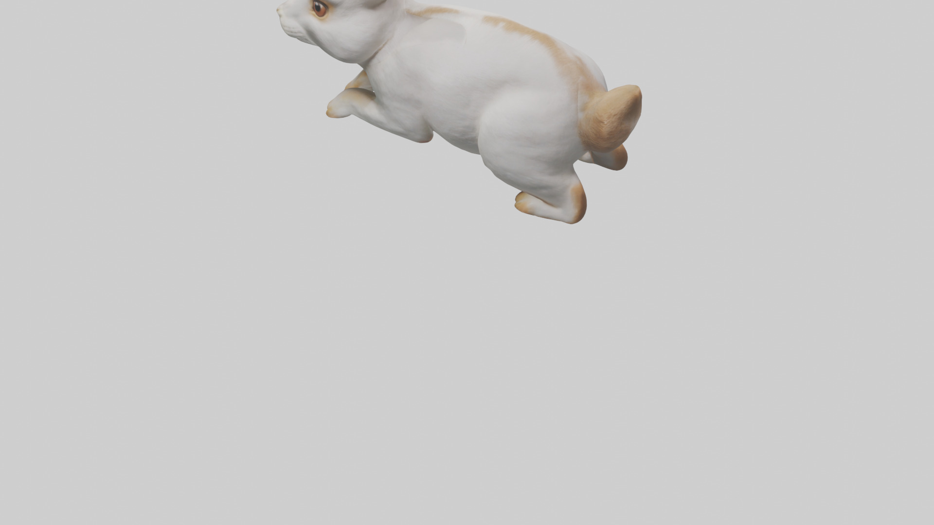 Rabbit hopping model Low-poly 3D model_3