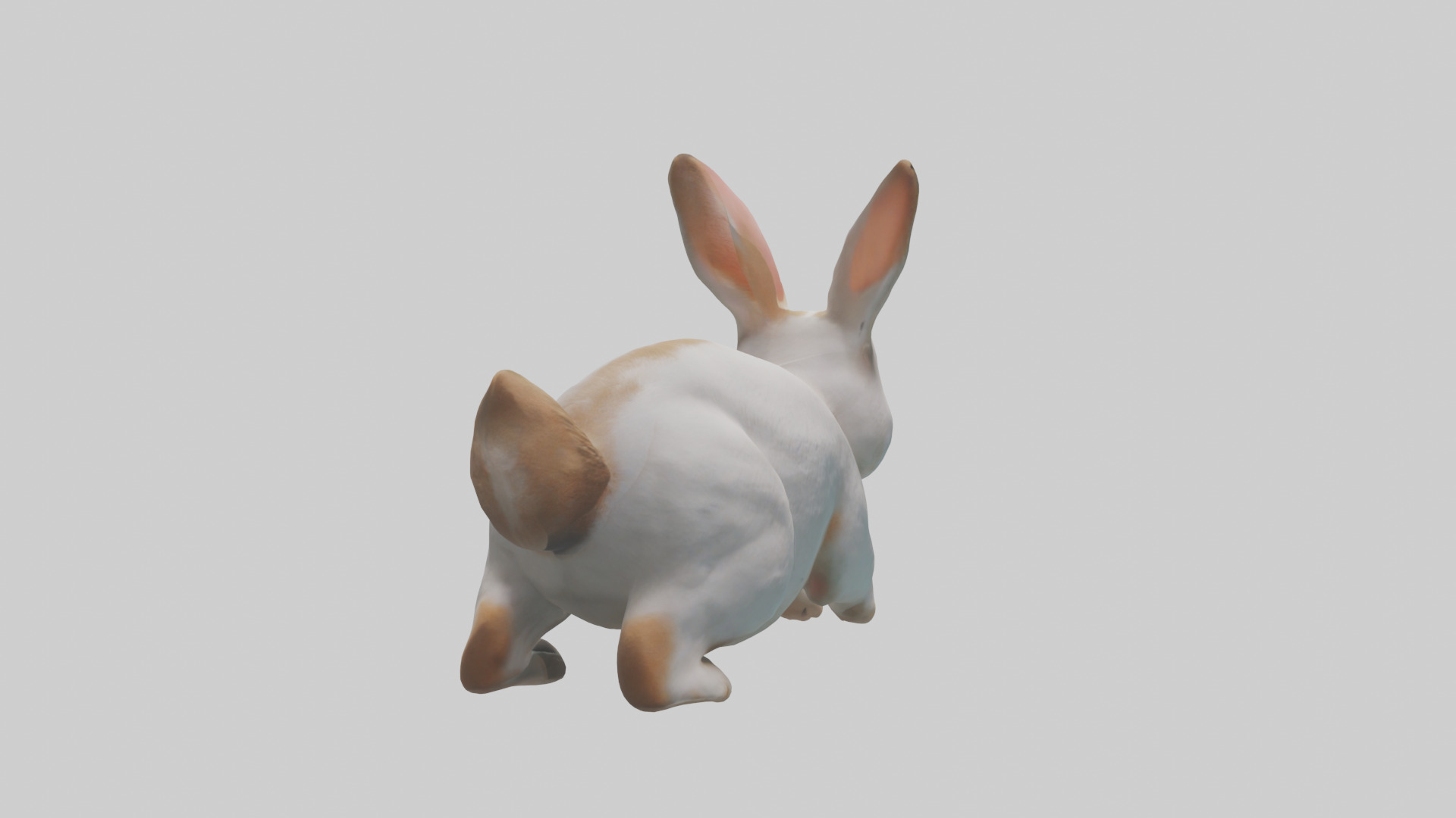 Rabbit hopping model Low-poly 3D model_2