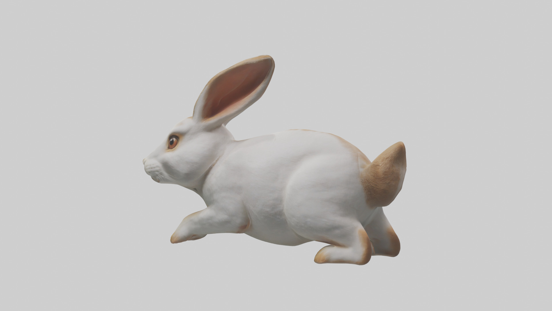 Rabbit hopping model Low-poly 3D model_1