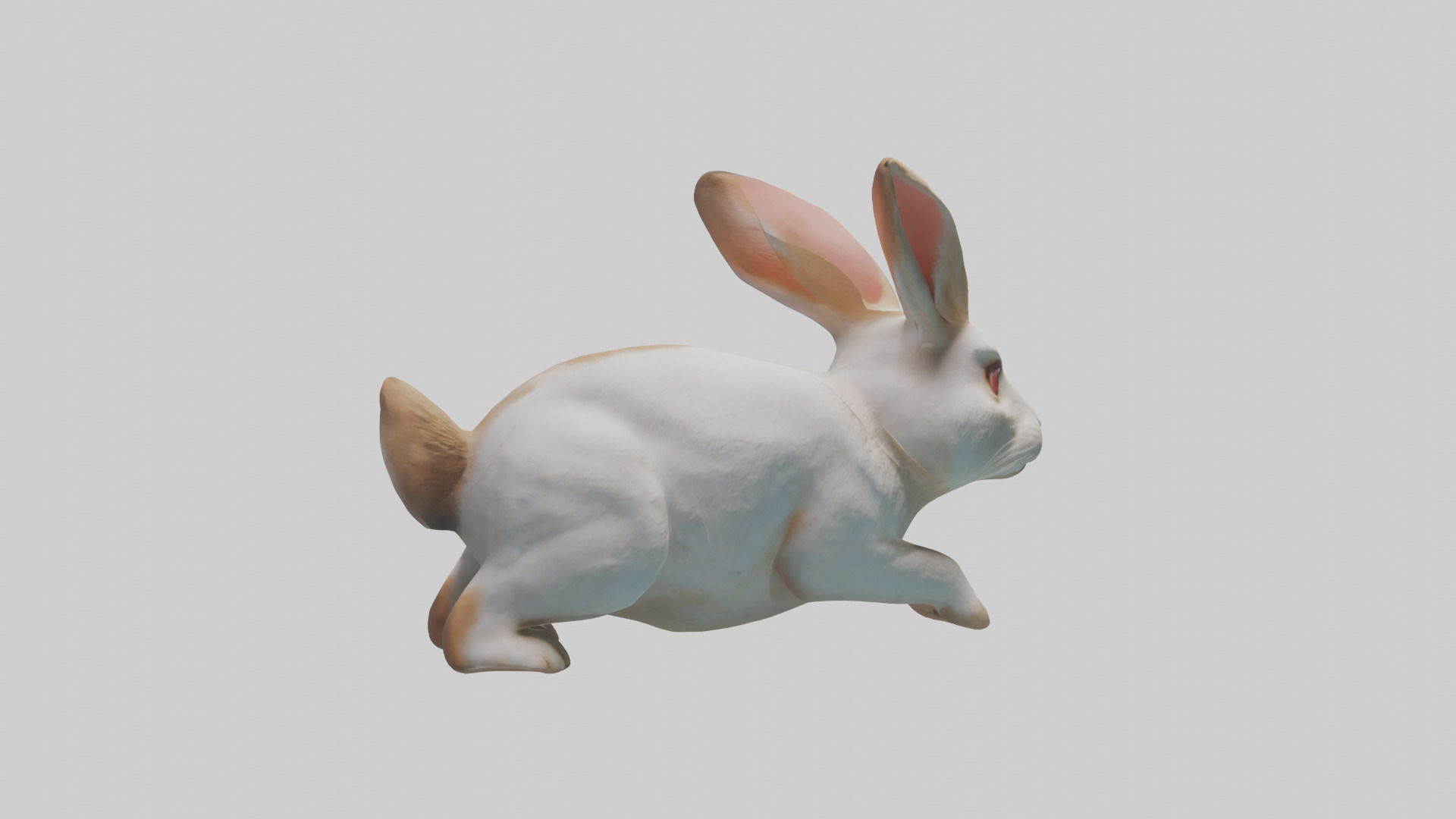 Rabbit hopping model Low-poly 3D model_13