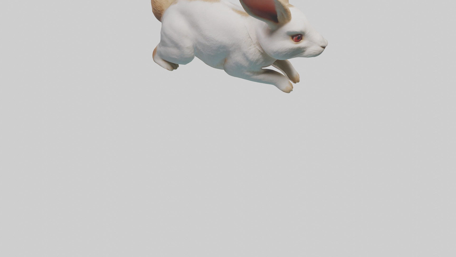 Rabbit hopping model Low-poly 3D model_6