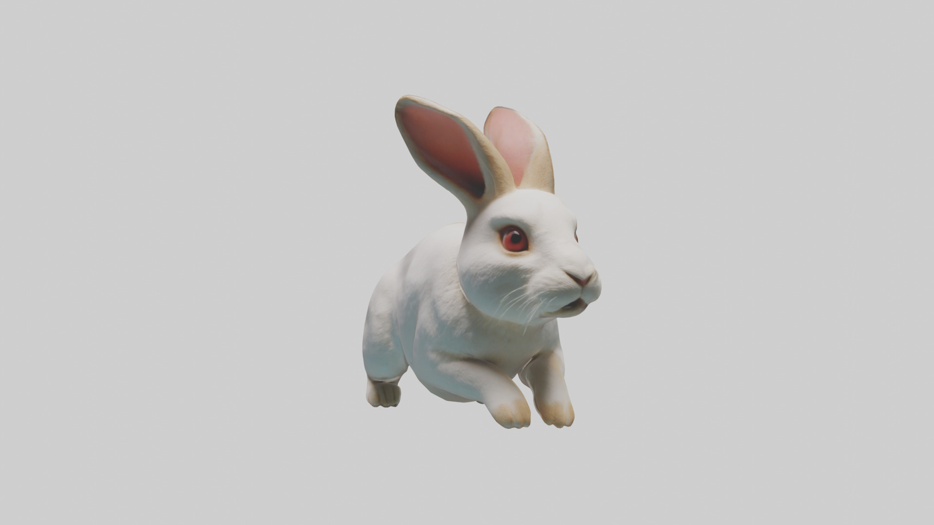 Rabbit hopping model Low-poly 3D model_9