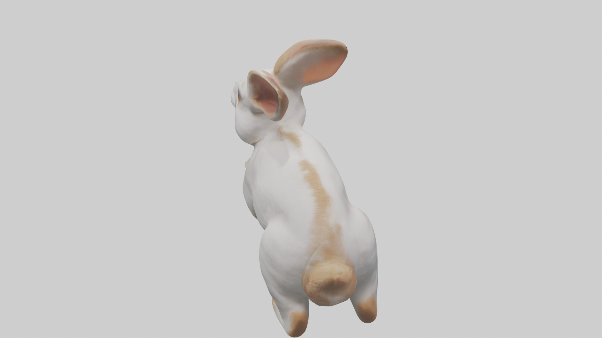 Rabbit hopping model Low-poly 3D model_15