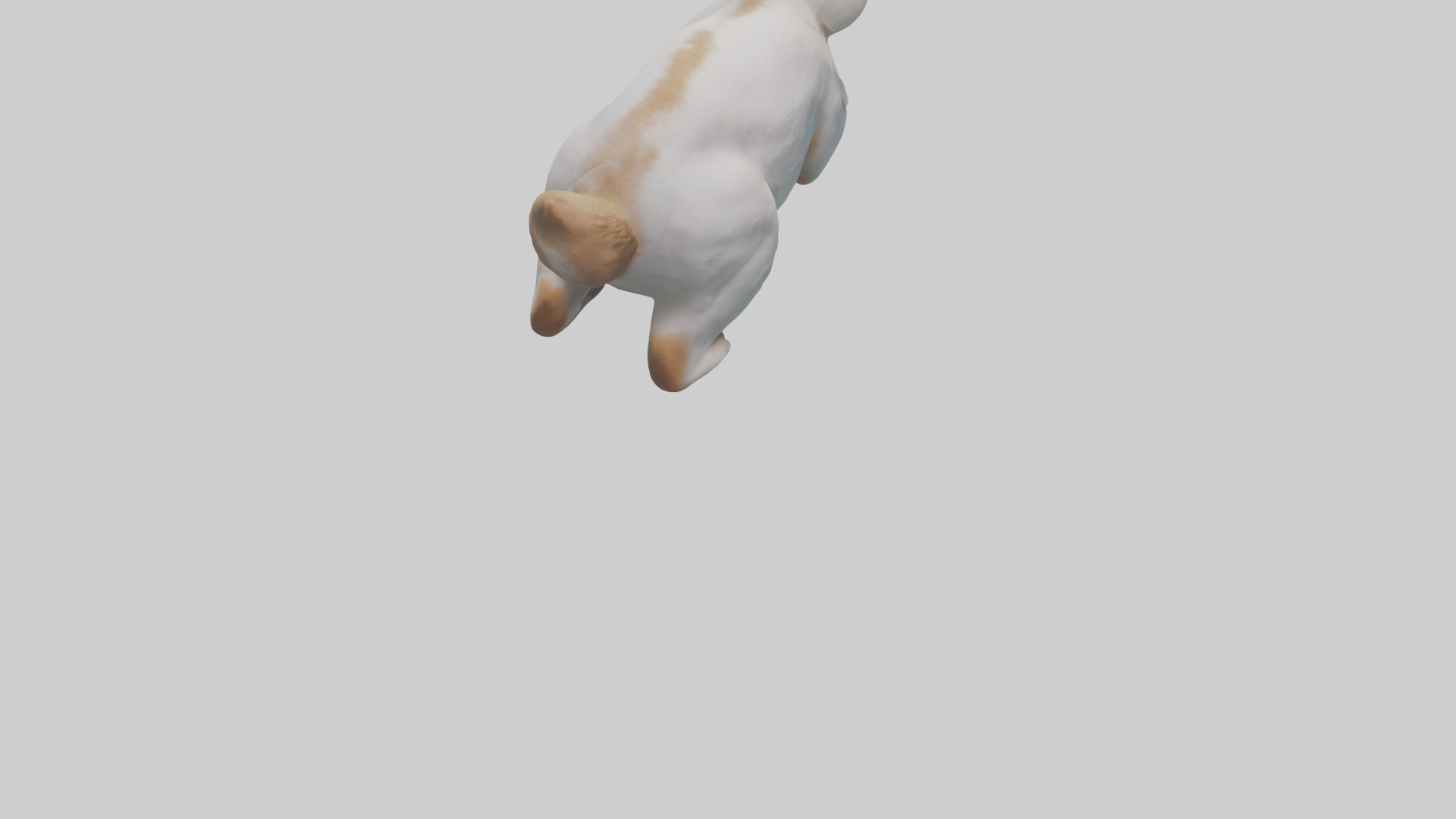 Rabbit hopping model Low-poly 3D model_4