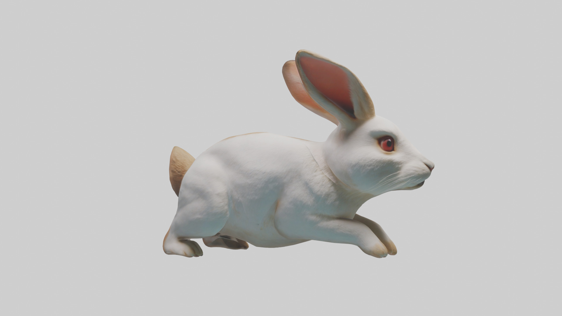 Rabbit hopping model Low-poly 3D model_7