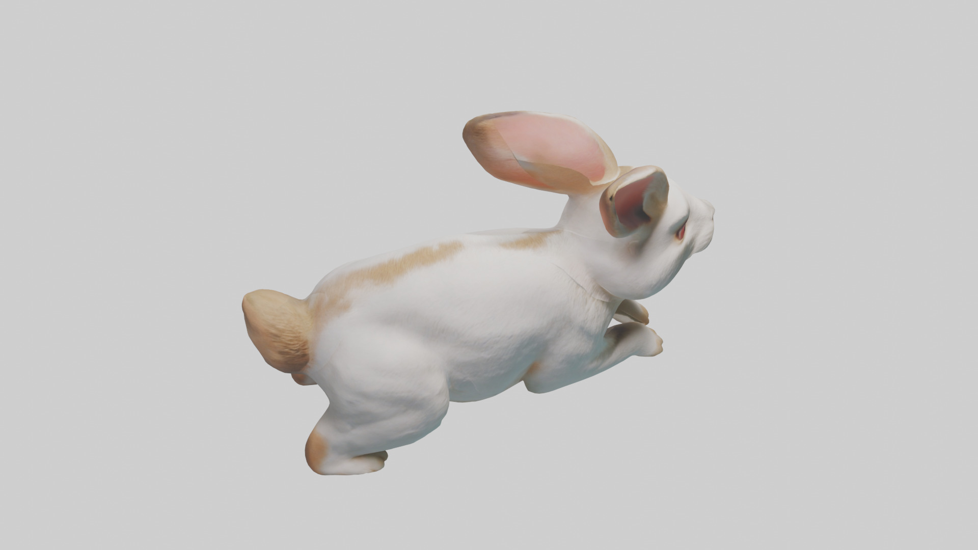 Rabbit hopping model Low-poly 3D model_18