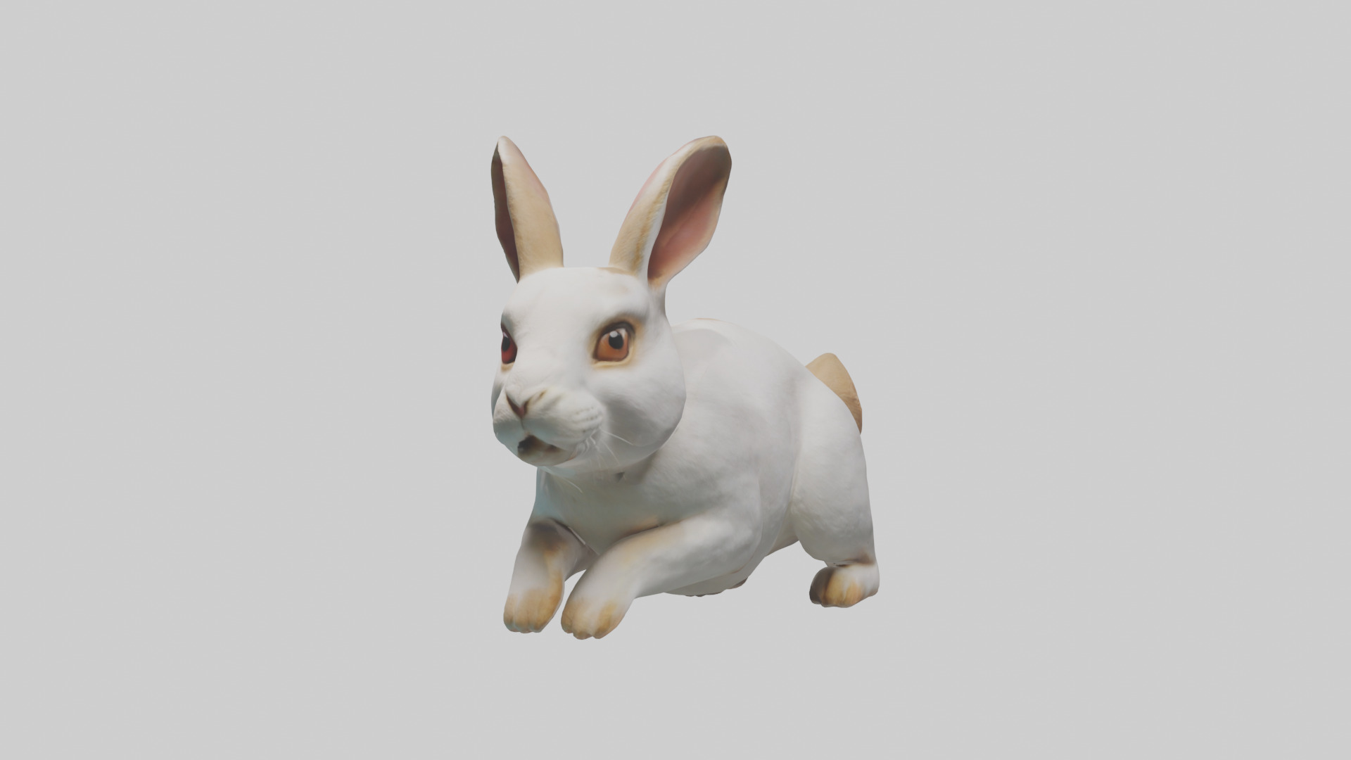 Rabbit hopping model Low-poly 3D model_10