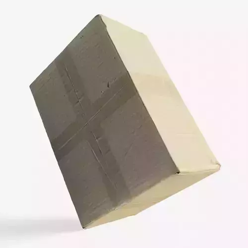 Scanned cardboard box for parcels