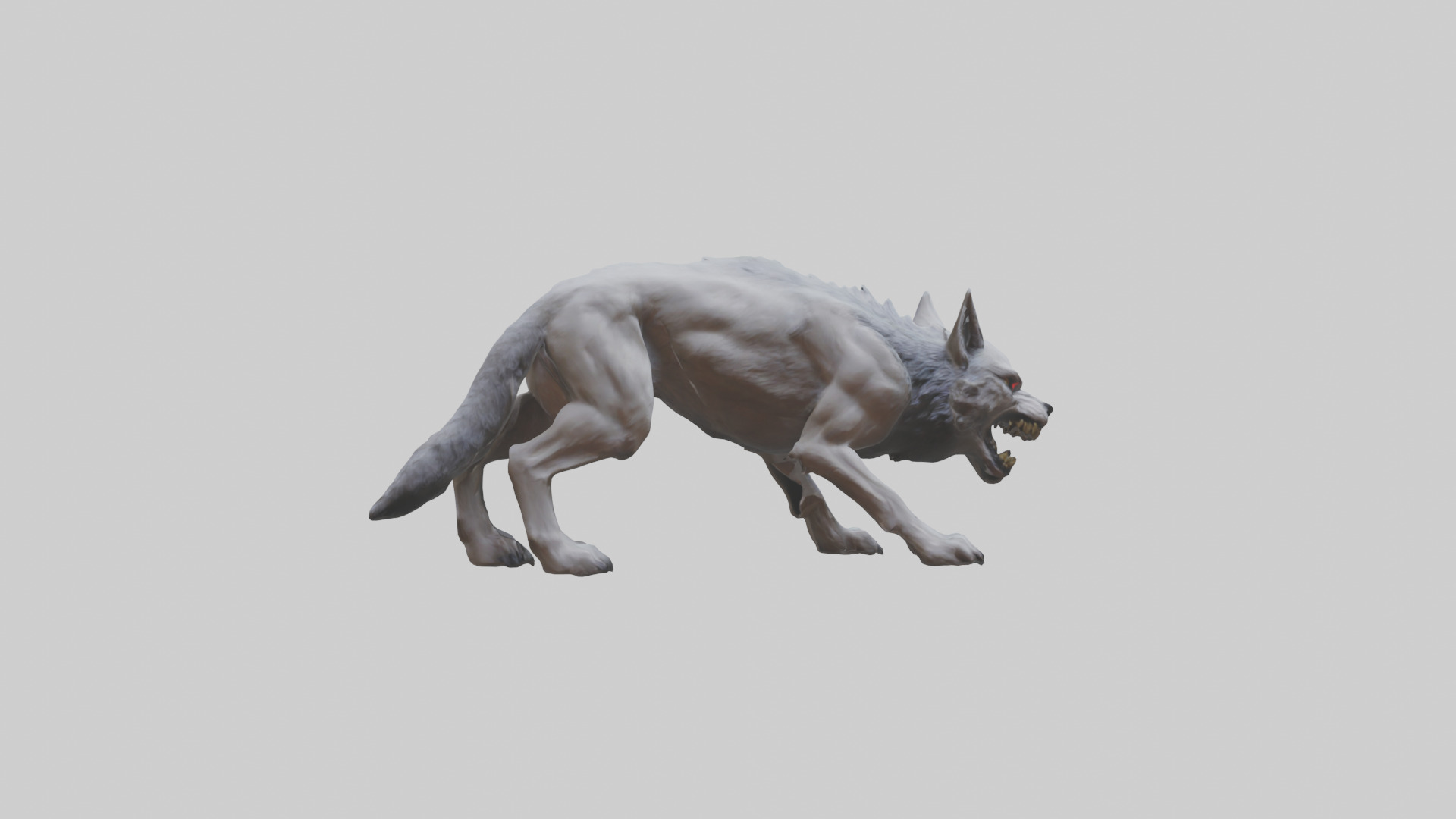 Rabid wolf model Low-poly 3D model_3