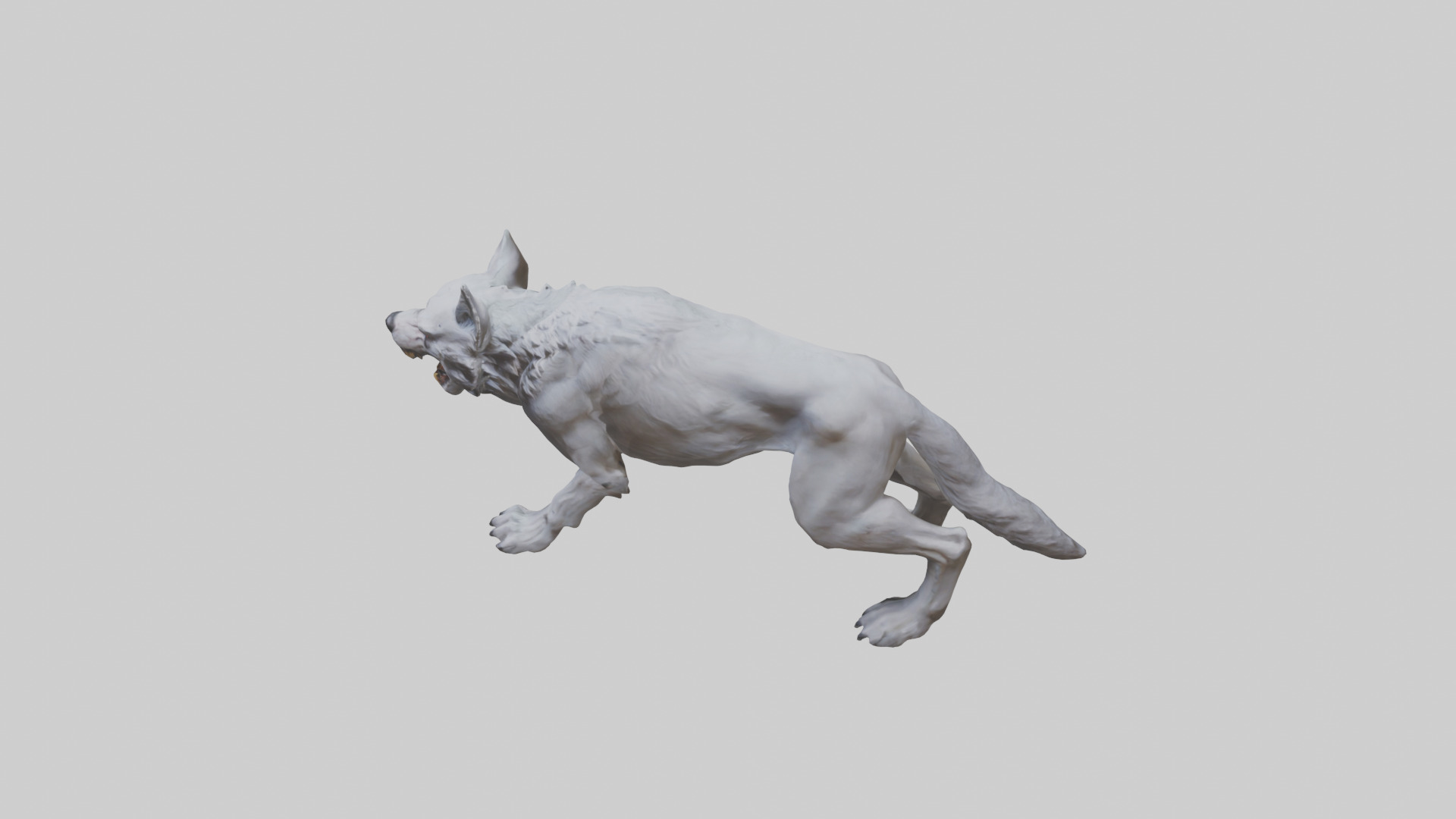 Rabid wolf model Low-poly 3D model_17