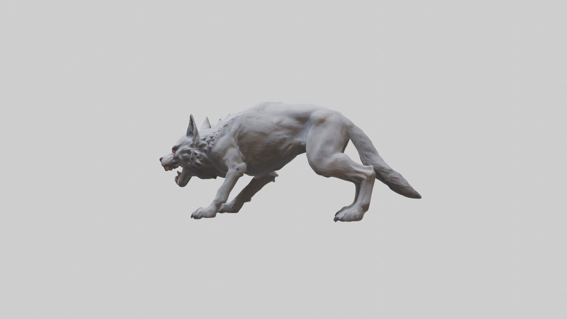 Rabid wolf model Low-poly 3D model_12