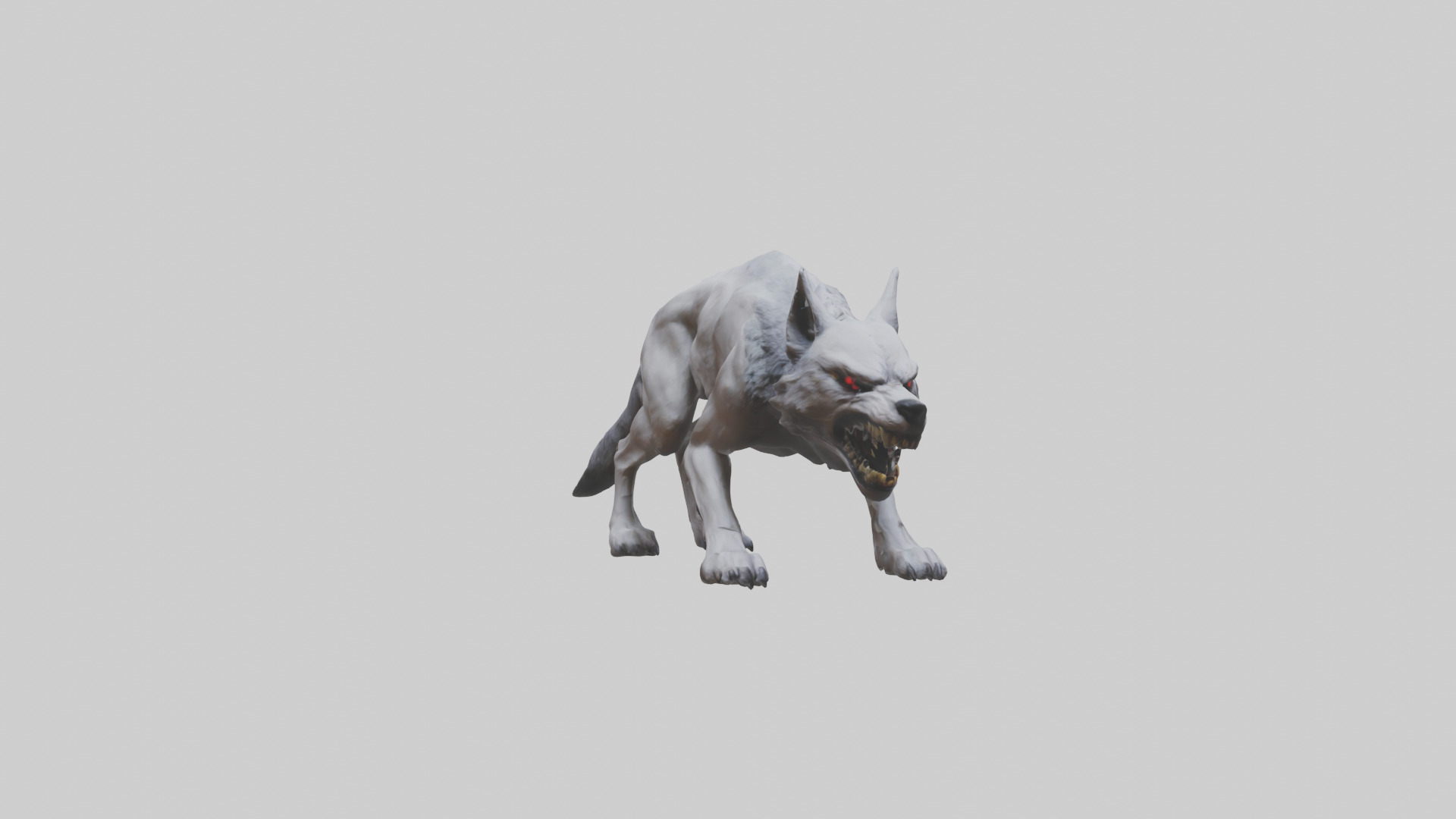 Rabid wolf model Low-poly 3D model_11