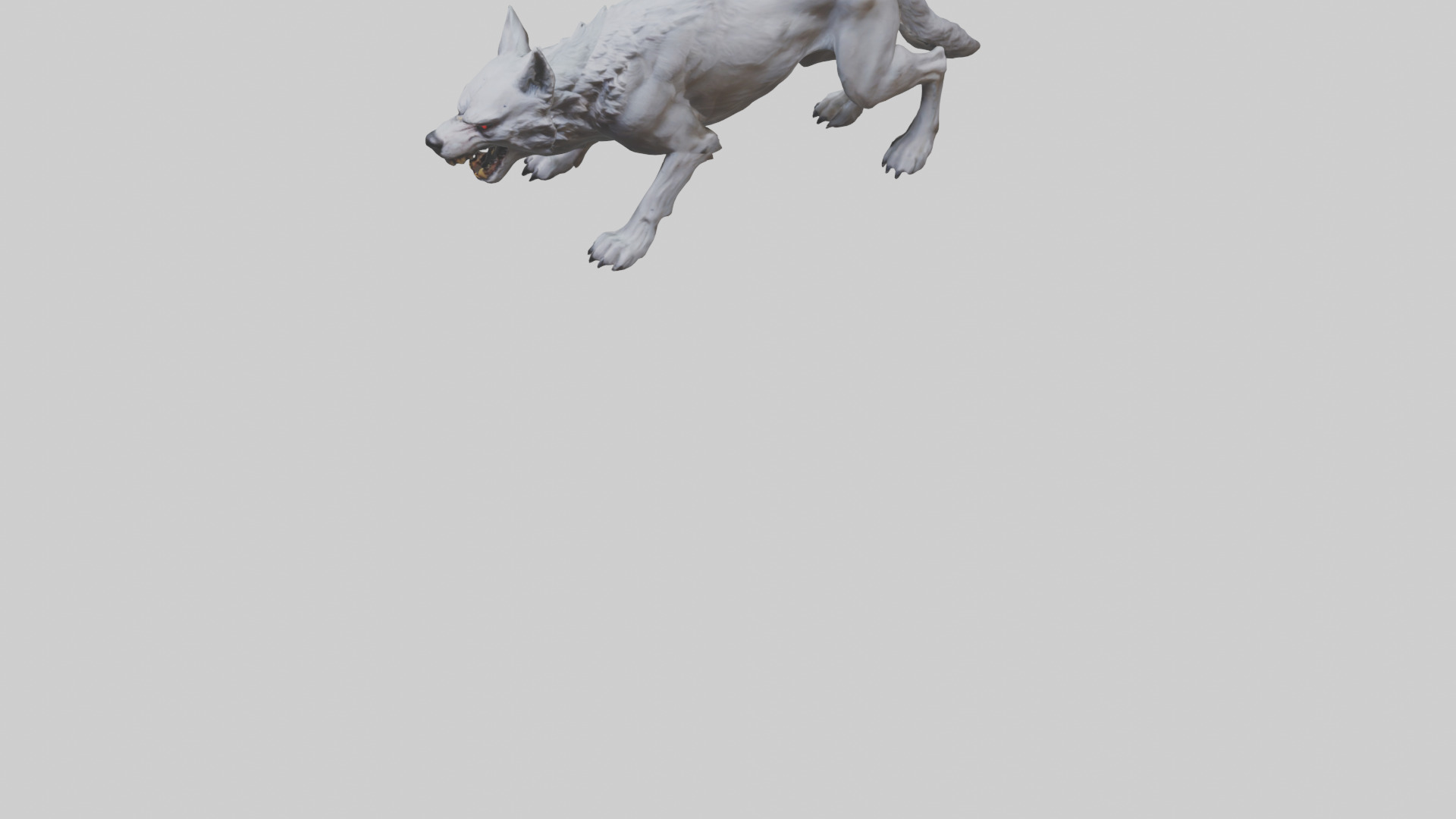 Rabid wolf model Low-poly 3D model_6