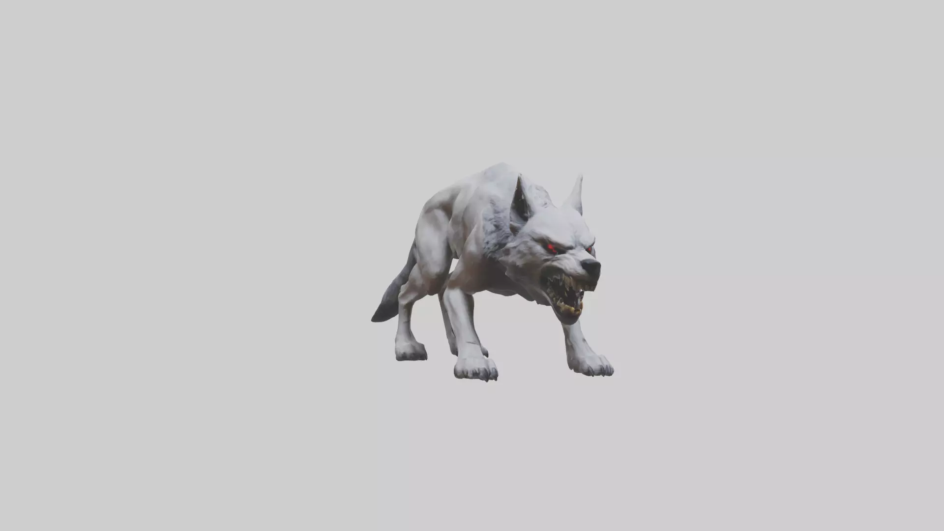 Rabid wolf model Low-poly 3D model_0