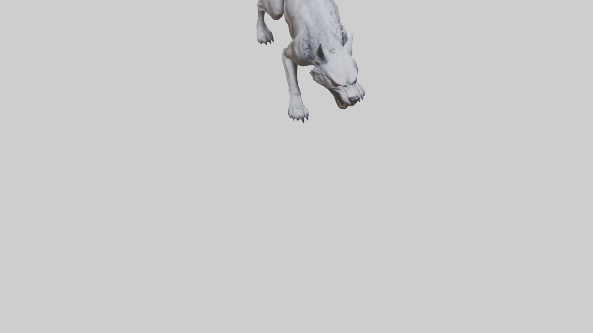 Rabid wolf model Low-poly 3D model_7