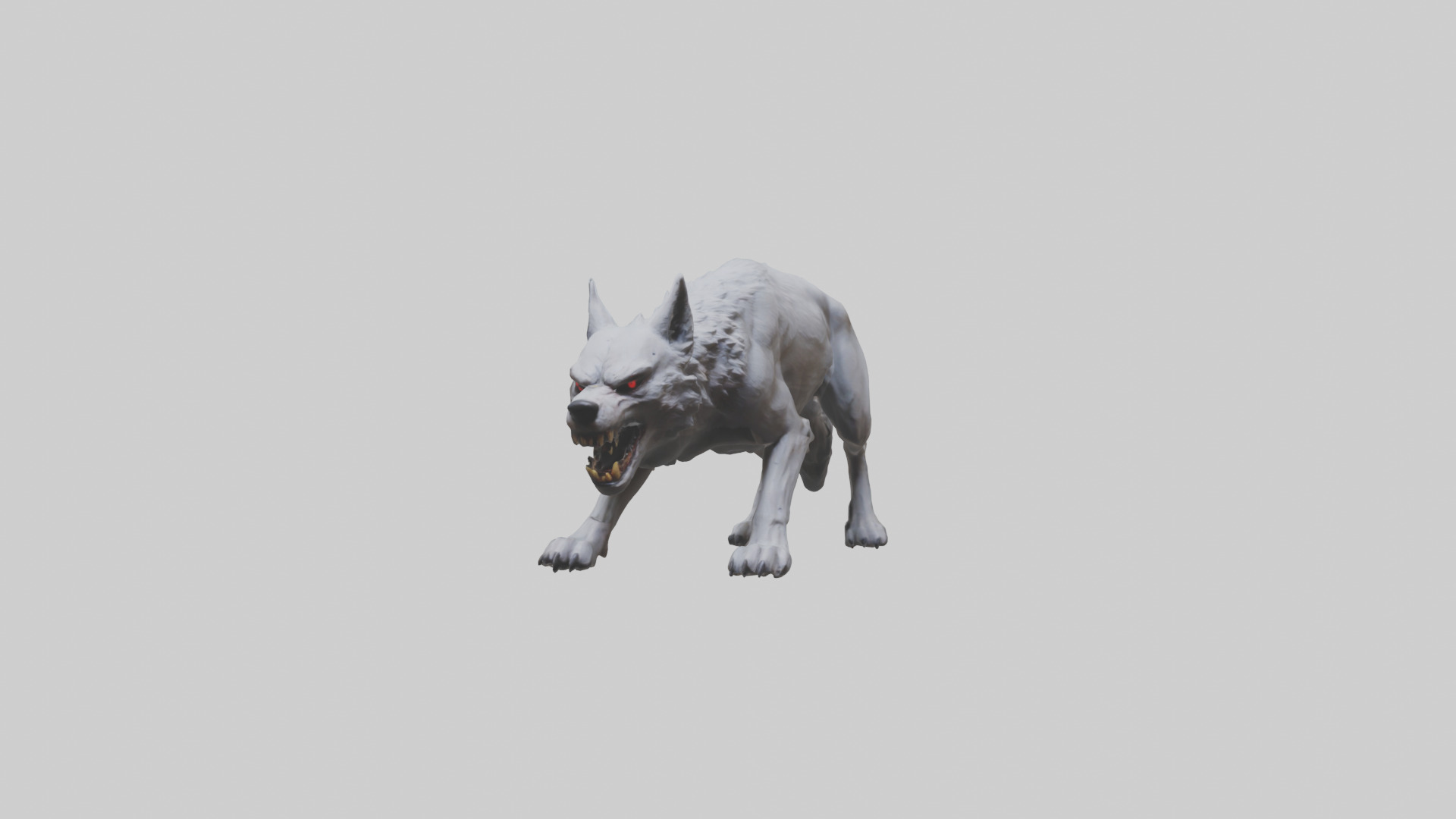 Rabid wolf model Low-poly 3D model_9