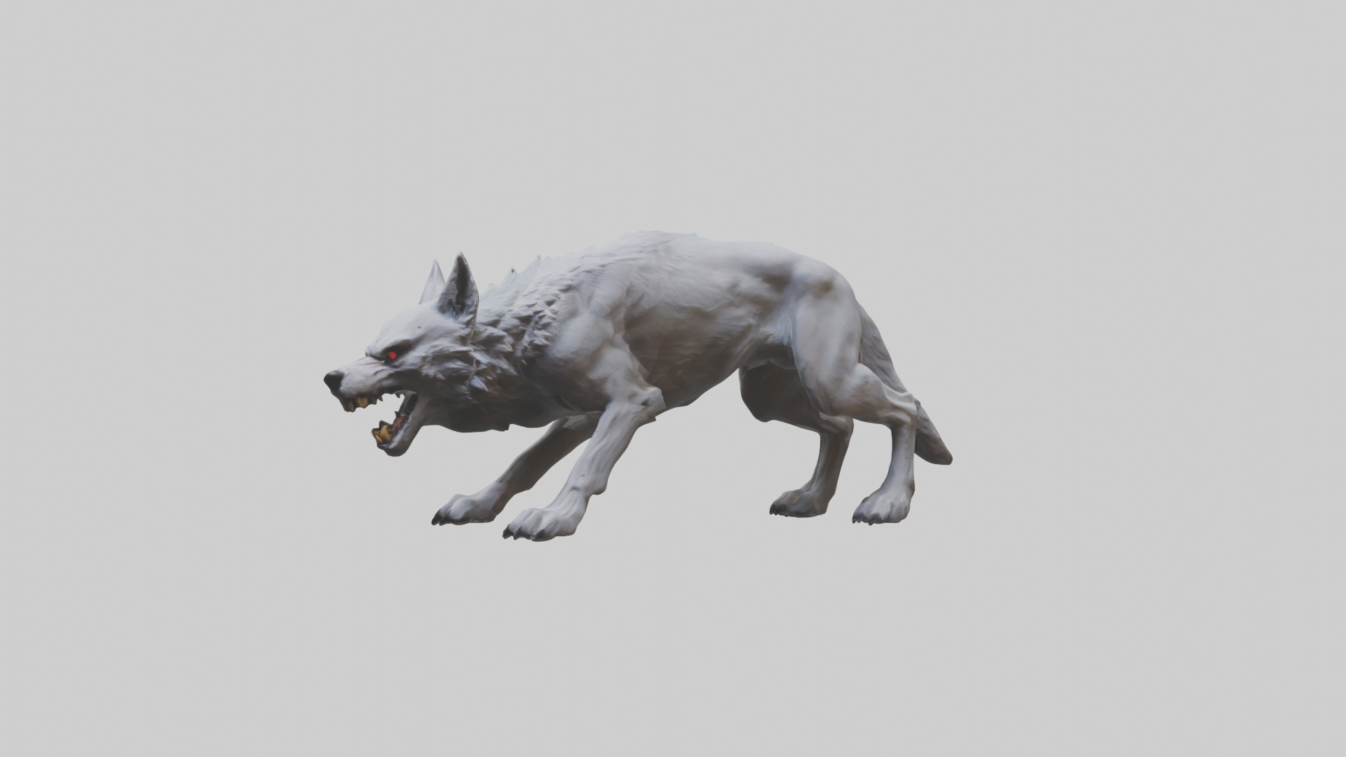 Rabid wolf model Low-poly 3D model_10