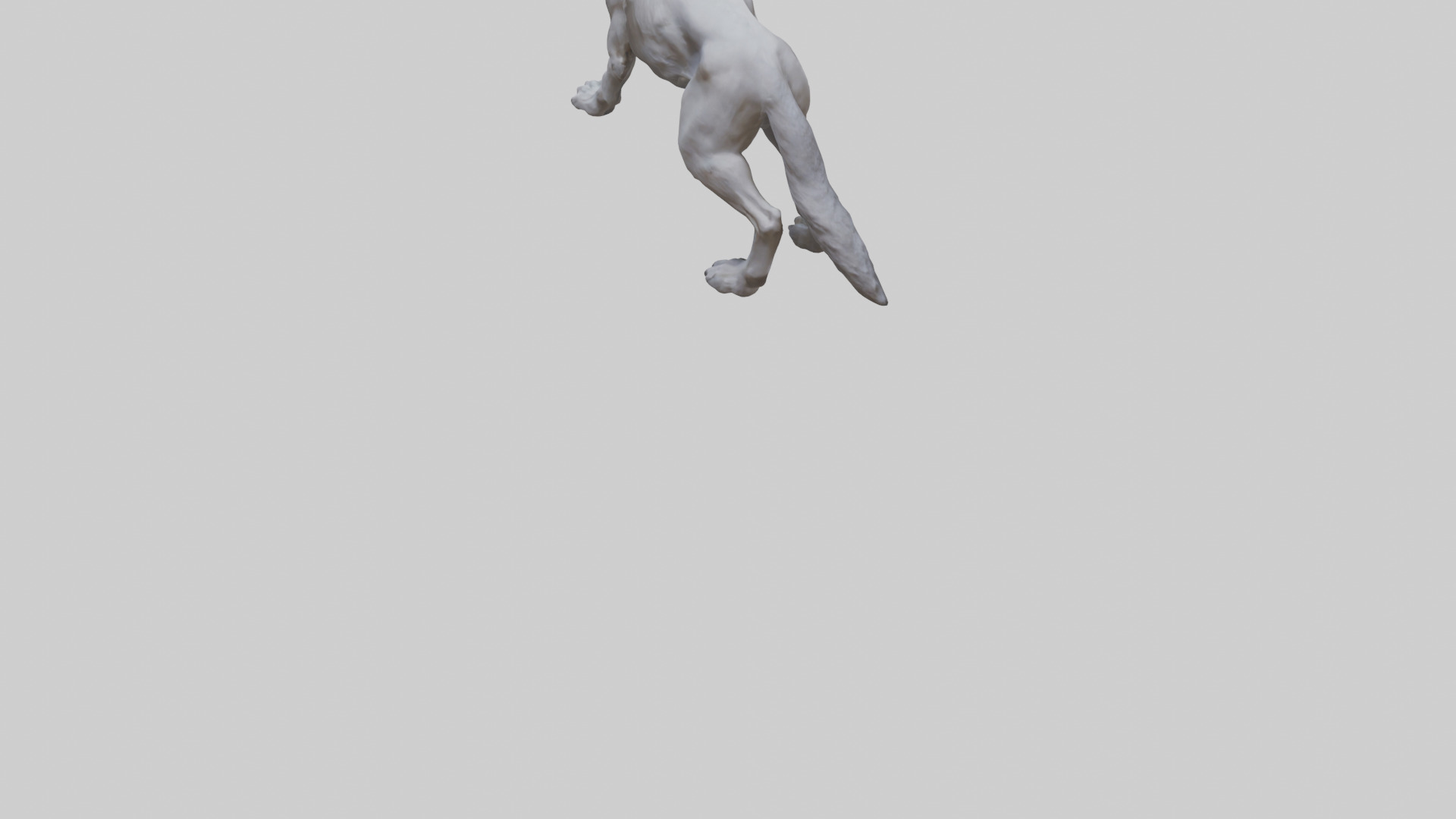 Rabid wolf model Low-poly 3D model_4