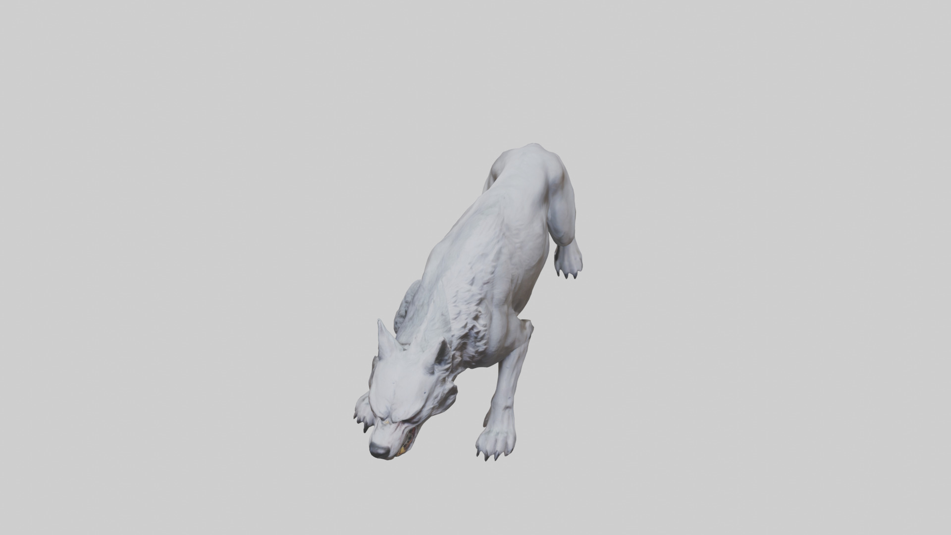 Rabid wolf model Low-poly 3D model_16