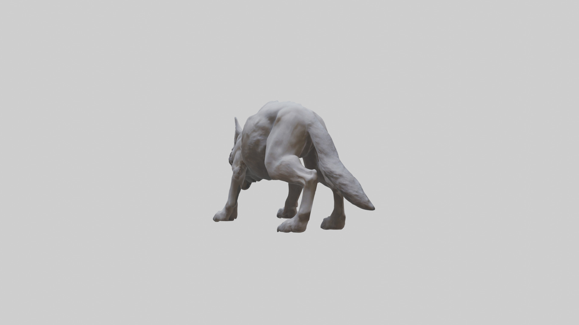 Rabid wolf model Low-poly 3D model_2