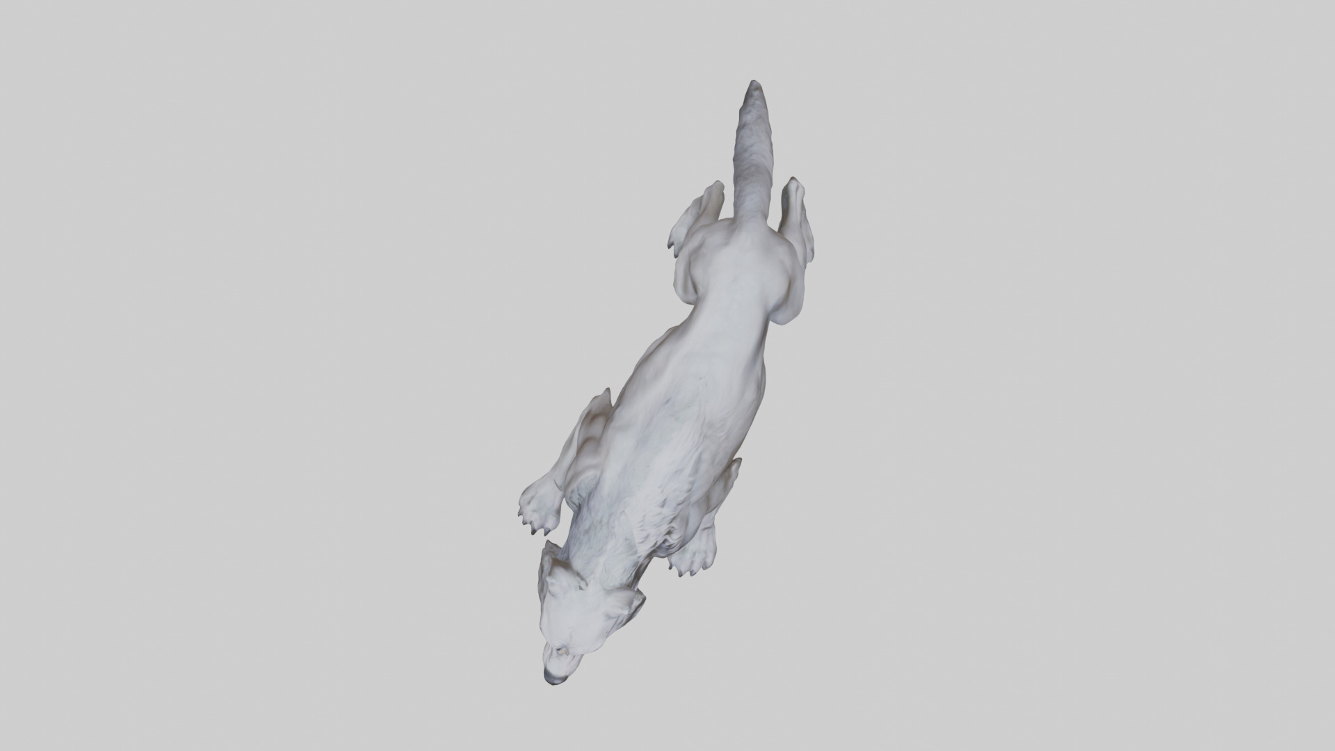Rabid wolf model Low-poly 3D model_14
