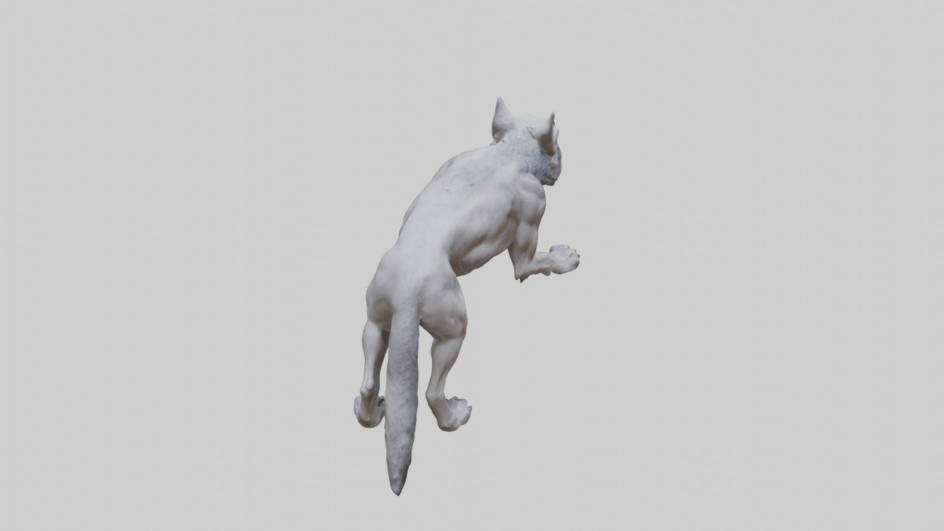 Rabid wolf model Low-poly 3D model_15