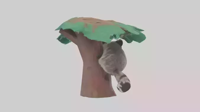 Raccoon climbing tree model Low-poly 3D model
