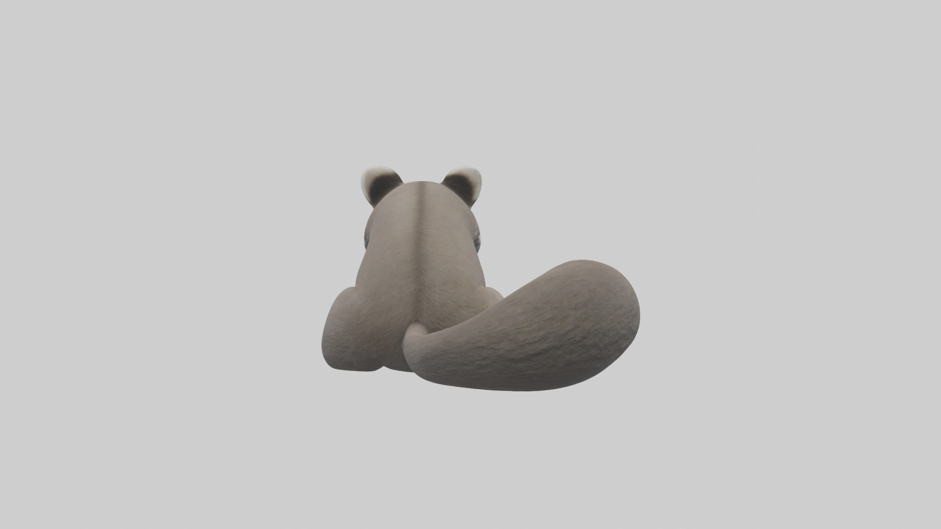 Raccoon hiding model Low-poly 3D model_1