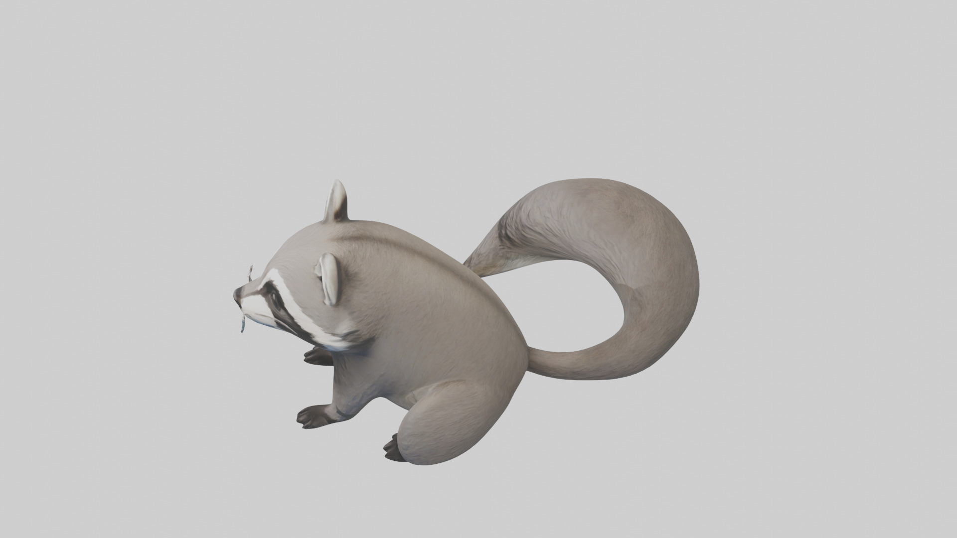 Raccoon hiding model Low-poly 3D model_17