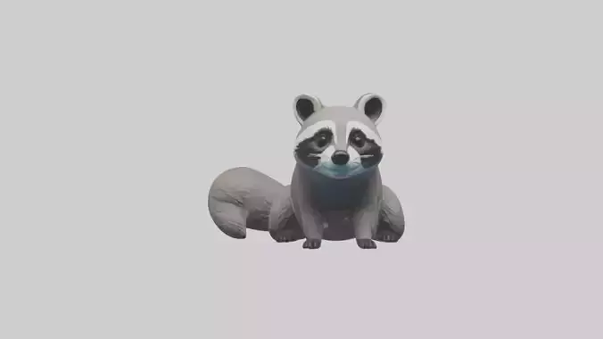 Raccoon hiding model