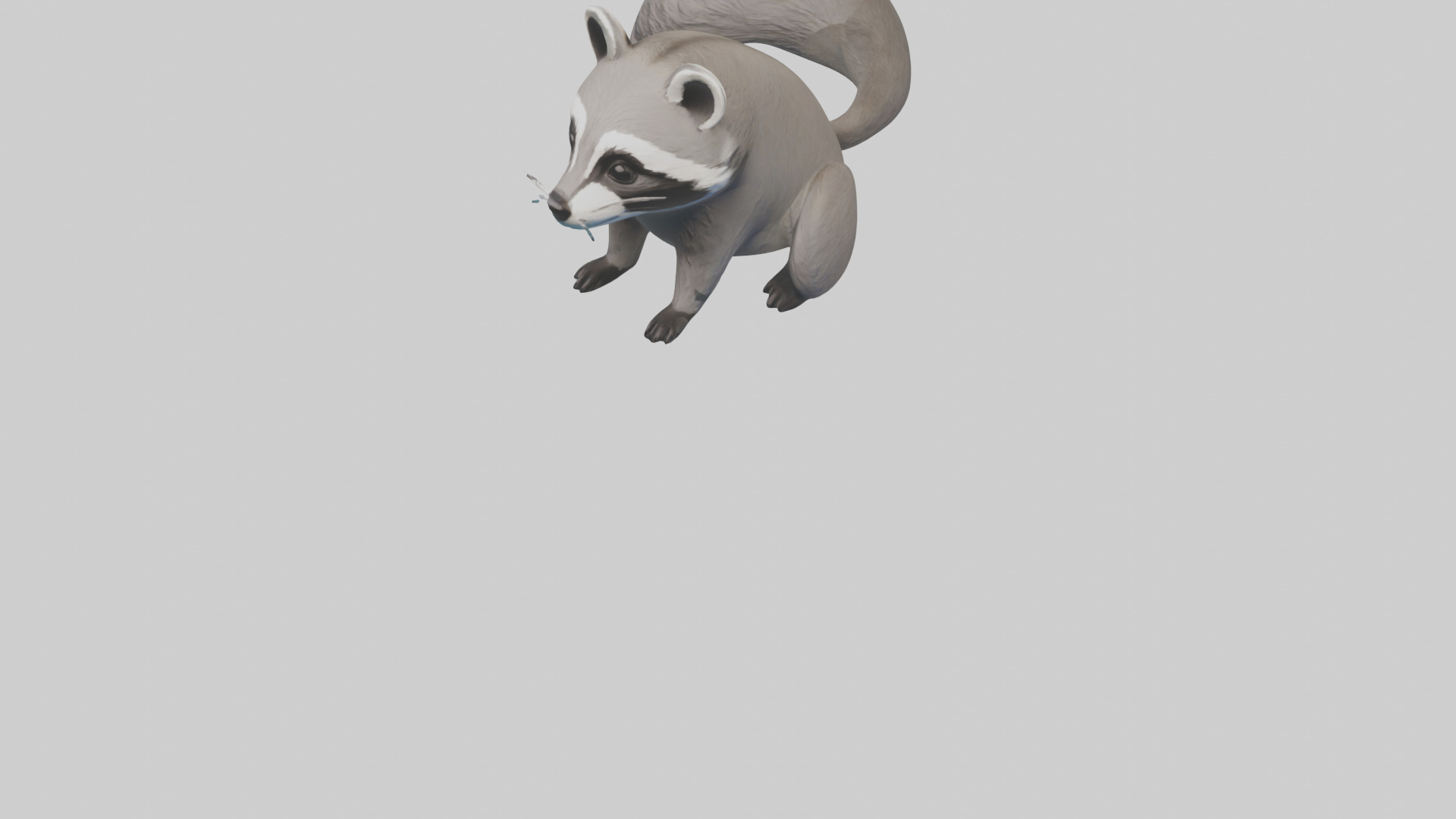 Raccoon hiding model Low-poly 3D model_6