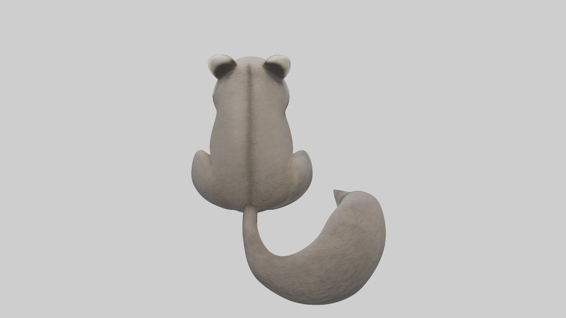 Raccoon hiding model Low-poly 3D model_15