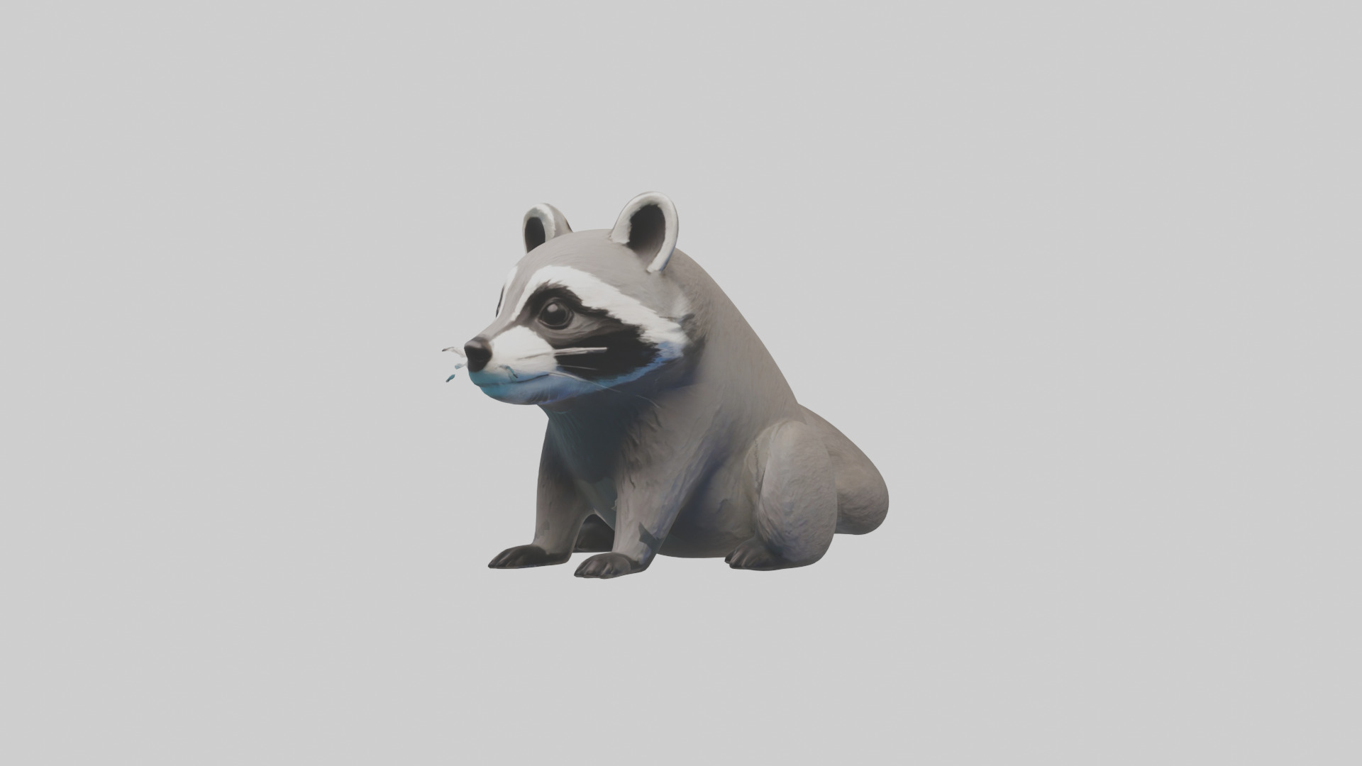 Raccoon hiding model Low-poly 3D model_10