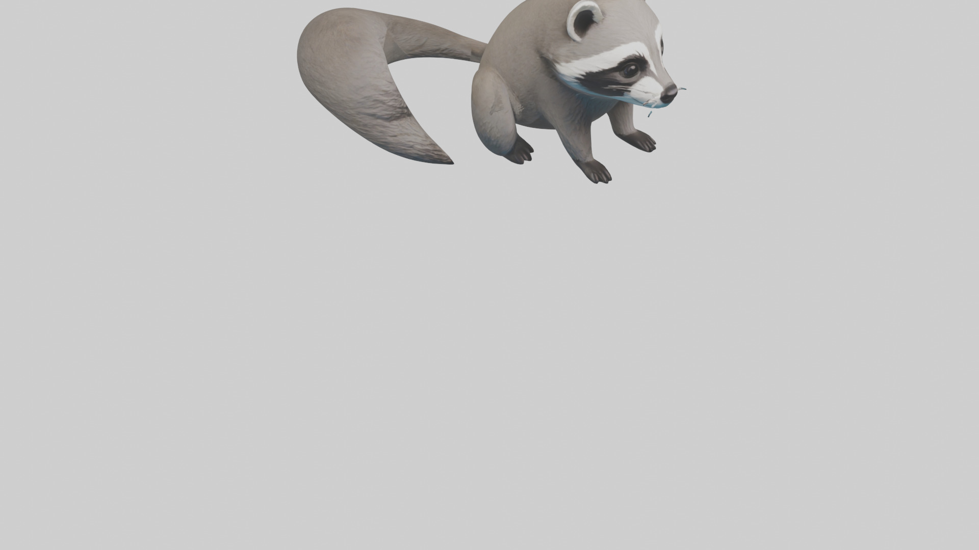 Raccoon hiding model Low-poly 3D model_7