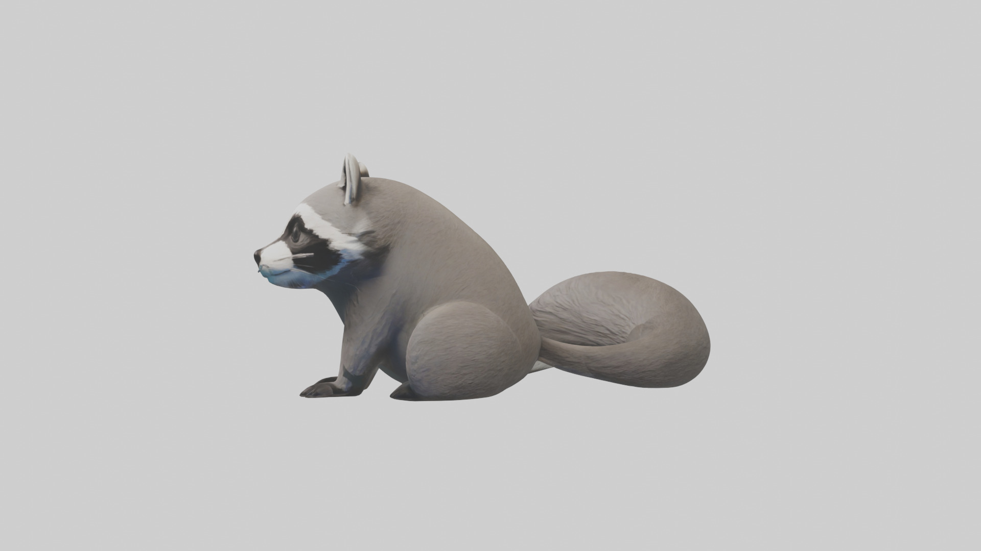 Raccoon hiding model Low-poly 3D model_12