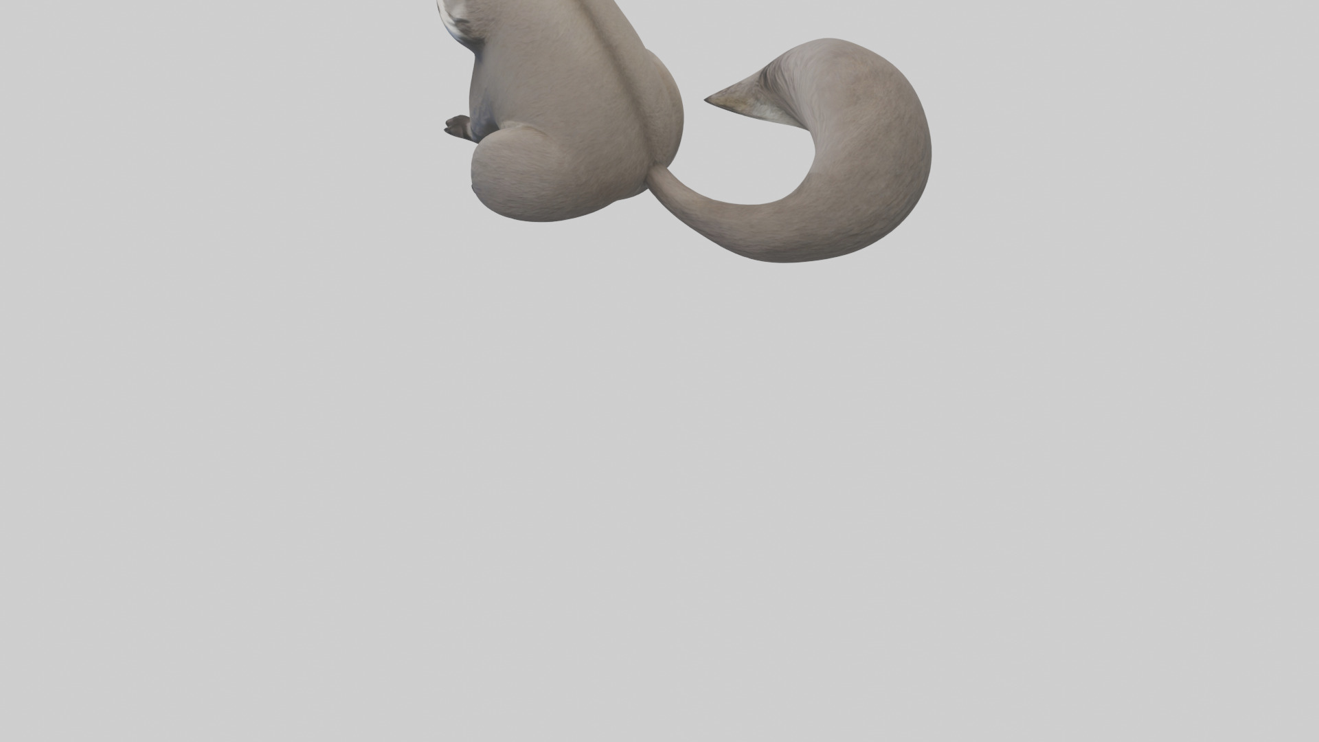 Raccoon hiding model Low-poly 3D model_4
