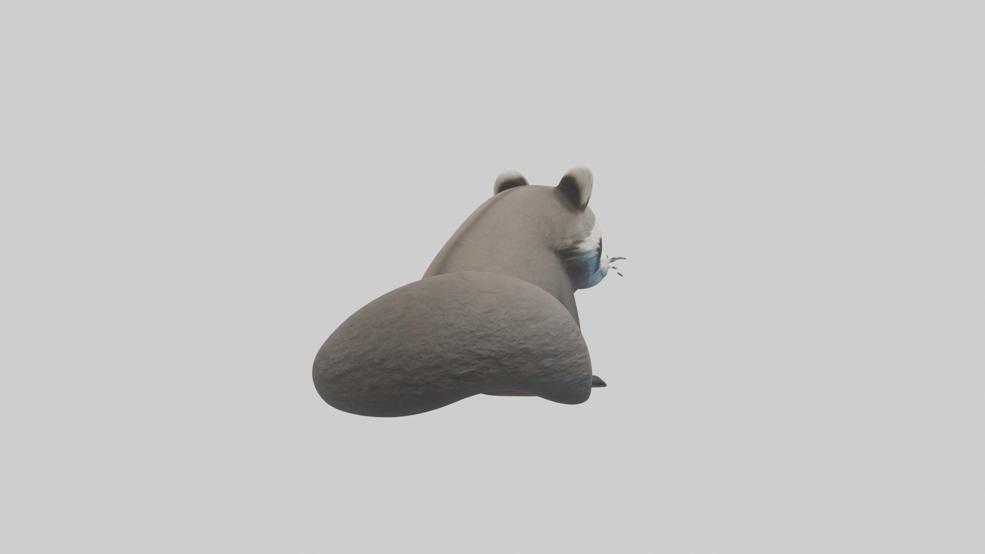 Raccoon hiding model Low-poly 3D model_3
