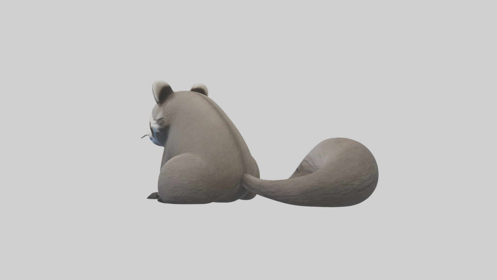 Raccoon hiding model Low-poly 3D model_2