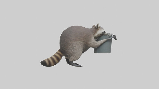 Raccoon scavenging model Low-poly 3D model